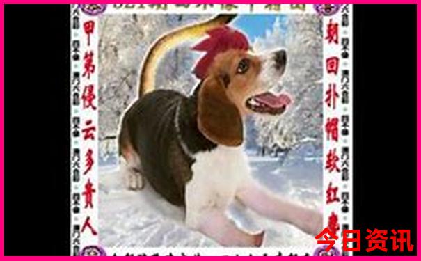 云南高铁游玩最佳路线